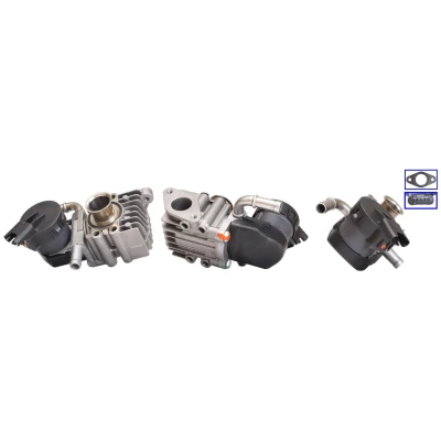 Billede af ELSTOCK 73 0206 EGR Ventil elektrisk med pakninger BMW: 3 Touring, 5 Sedan, Touring