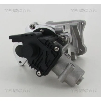 Billede af TRISCAN 8813 10007 EGR Ventil elektrisk med pakninger FORD: MONDEO 4 Turnier, S Max Mk1, Galaxy Mk2 MPV, CITROËN: C5 III Stationcar, PEUGEOT: 407 SW