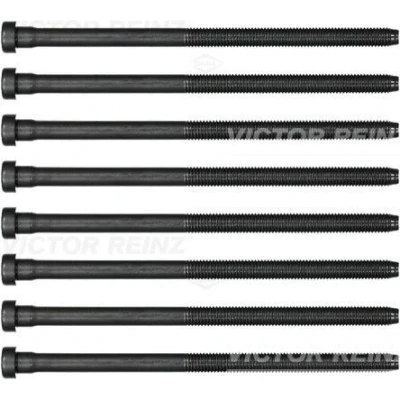 Billede af REINZ 14 32384 02 Strækbolte indre polygonhoved VOLKSWAGEN: Polo V Hatchback, SEAT: Ibiza 4 ST,