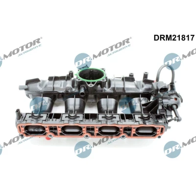 Billede af DR.MOTOR AUTOMOTIVE DRM21817 Indsugningsmanifold VOLKSWAGEN: Passat B6 Variant, Golf 5, Sedan, AUDI: A3 Sportback, SEAT: Altea XL