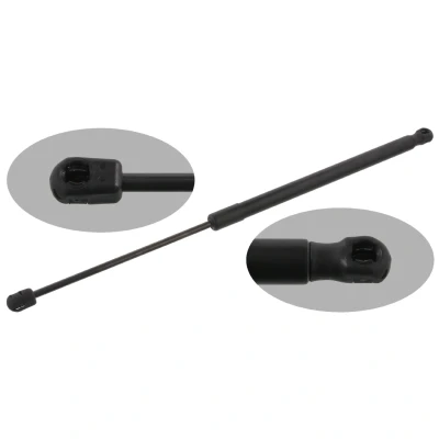 Billede af FEBI BILSTEIN 31659 Gasdæmper 650 540 på begge sider SKODA: Superb II Hatchback