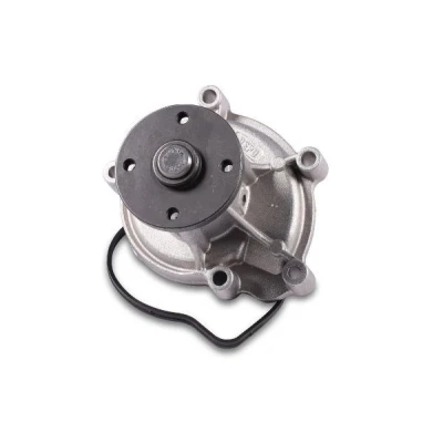 Billede af HEPU P1539 Vandpumpe med pakning mekanisk MERCEDES BENZ: B klasse, MITSUBISHI: COLT 6