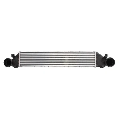 Billede af THERMOTEC DAM005TT Intercooler 650 130 55