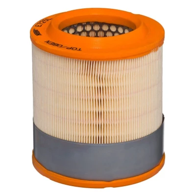 Billede af HENGST FILTER E725L Luftfilter 184 152 Filterindsats AUDI: A8 D3