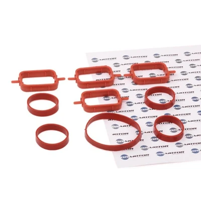 Billede af DR.MOTOR AUTOMOTIVE DRM0587S Pakningssæt, indsugningsmanifold BMW: 1 Hatchback, 5 Touring, 3 Sedan, LAND ROVER: Freelander I SUV
