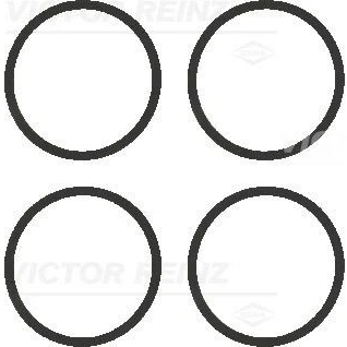 Billede af REINZ 11 77542 01 Pakningssæt, indsugningsmanifold VOLKSWAGEN: Polo III Hatchback, GOLF 4, 3, SKODA: Octavia I FELICIA 1