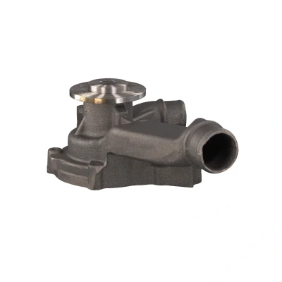 Billede af FEBI BILSTEIN 30152 Vandpumpe Gråt støbejern med pakning