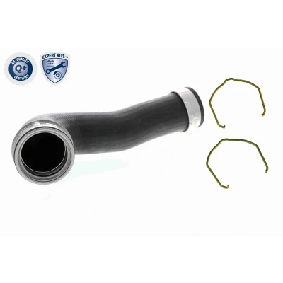 Billede af VAICO V10 5302 Trykslange Gummi med vævindlæg klemme VOLKSWAGEN: Touran I, Golf 5, Passat B6 Sedan, SKODA: Octavia 2 Combi, II Hatchback