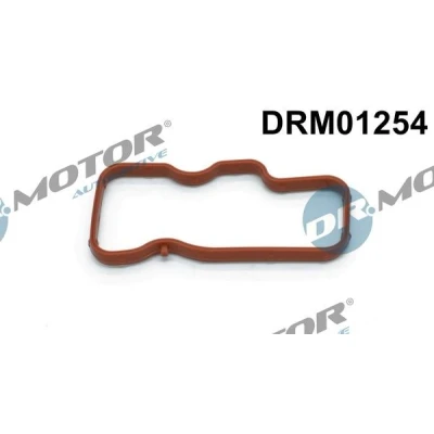 Billede af DR.MOTOR AUTOMOTIVE DRM01254 Indsugningspakning til cylinder 4 6, Indtag AUDI: A6 C6 Avant, A8 D3, Sedan, VOLKSWAGEN: Touareg I