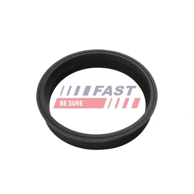 Billede af FAST FT48501 Pakninger VOLKSWAGEN: Passat B5 GP Variant, Touran I, SEAT: Leon I Hatchback, Córdoba II Sedan, VOLVO: S40