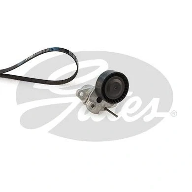 Billede af GATES EuroGrip K036PK1003 Kileribberem VOLKSWAGEN: Golf 7, 7 Variant