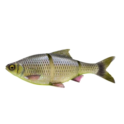 Billede af 4D Line Thru Roach 25 cm / 216 gram Sinking