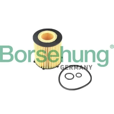 Billede af Oliefilter Borsehung B12405