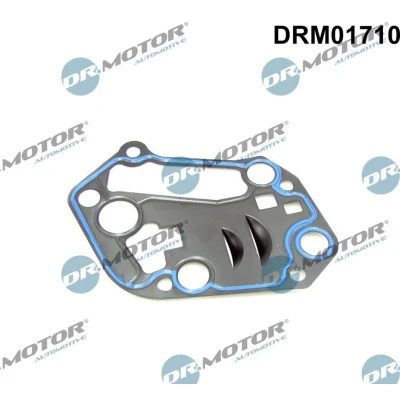 Billede af DR.MOTOR AUTOMOTIVE DRM01710 Pakninger AUDI: A4 B6 Avant
