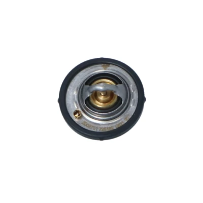 Billede af NRF 725182 Termostat 74 med tætningsring uden hus FORD: Focus 2 Kombi, Puma