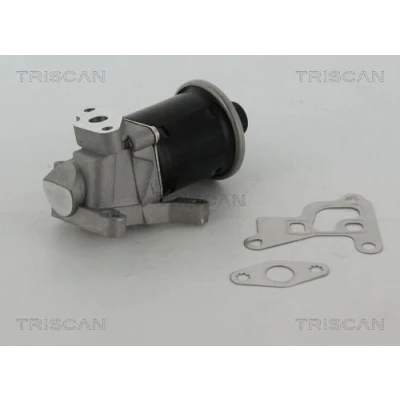 Billede af TRISCAN 8813 29100 EGR Ventil elektrisk med pakninger VOLKSWAGEN: Polo III Hatchback, Lupo / 3L