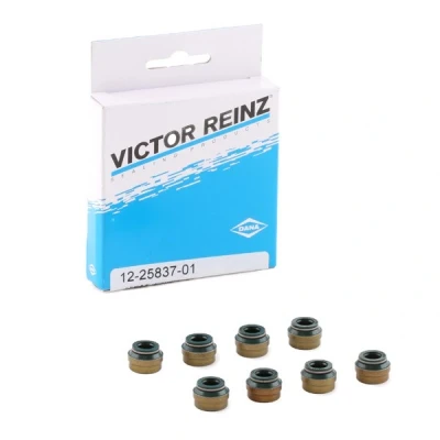 Billede af REINZ 12 25837 01 Pakningssæt, ventilarm VOLKSWAGEN: GOLF 4, 3, Passat B5 Variant, PEUGEOT: 207 Hatchback, 406 Sedan, 205 XA/XAD Van