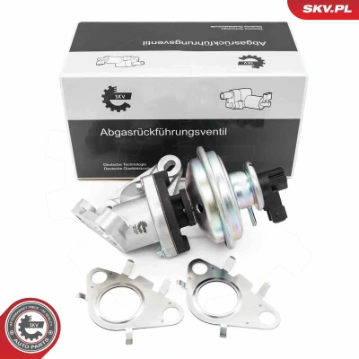Billede af EGR ventil ESEN SKV 14SKV285