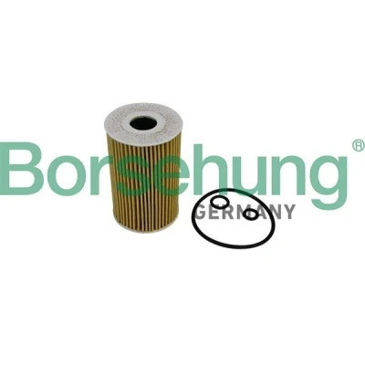 Billede af Oliefilter Borsehung B10535