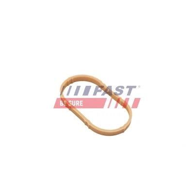 Billede af FAST FT49461 Indsugningspakning Indtag FPM (Flour gummi) RENAULT: MEGANE 1 Coach, Scénic 1, CLIO 2