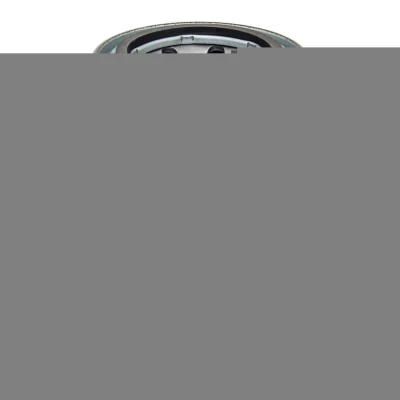 Billede af HENGST FILTER HY813W Filter, arbejdshydraulik