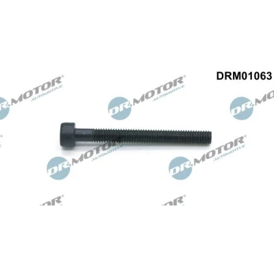 Billede af DR.MOTOR AUTOMOTIVE DRM01063 Skrue, indsprøjtningsdyseholder VOLKSWAGEN: Touareg I, Multivan 5 (7HM