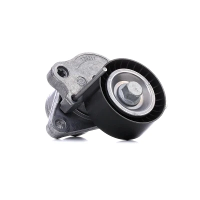 Billede af GATES FleetRunner Micro V Kit T38311 Strammehjul RENAULT: MEGANE 3 Grandtour, MASTER Kasten, LAGUNA 3, NISSAN: X Trail, Qashqai / Qashqai+2 I