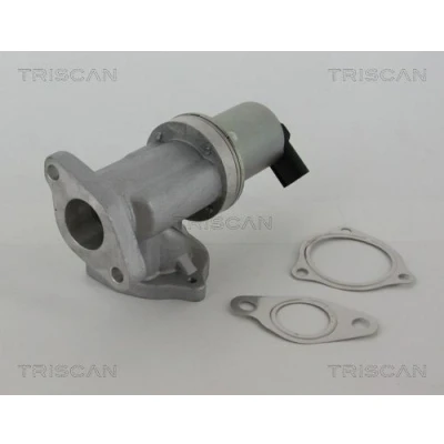 Billede af TRISCAN 8813 43002 EGR Ventil elektronisk med pakninger HYUNDAI: i30 I Hatchback, Stationcar, Tucson, KIA: cee‘d CARENS 3