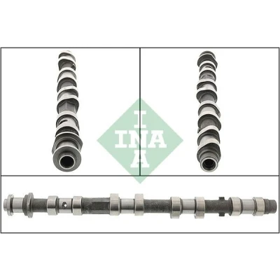 Billede af INA 428 0197 10 Knastaksel LAND ROVER: Freelander I SUV