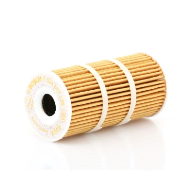 Billede af BOSCH F 026 407 125 Oliefilter med pakning Filterindsats RENAULT: MASTER 3 Bus, Talisman Sedan, Megane 4, NISSAN: NP300 Navara Pick up, X Trail