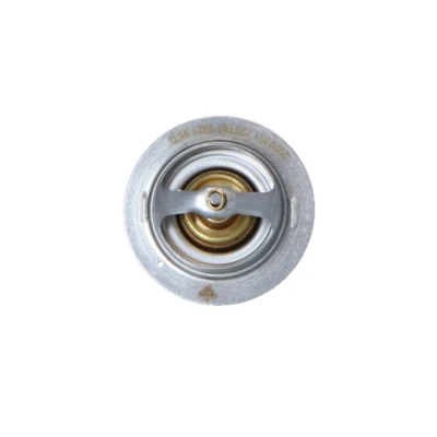 Billede af NRF 725181 Termostat 95 uden hus RENAULT: MEGANE 3 Grandtour, CLIO 3, LAGUNA NISSAN: Qashqai / Qashqai+2 I