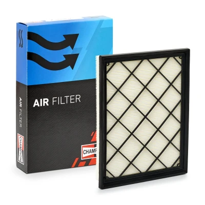 Billede af Luftfilter CHAMPION CAF101189P