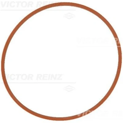 Billede af REINZ 71 17146 00 Indsugningspakning FPM (Flour gummi) FORD: Grand C Max