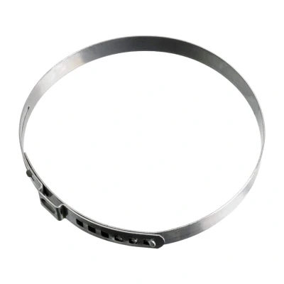 Billede af FEBI BILSTEIN 45643 Spændebånd PEUGEOT: 307 Hatchback, 207 SW, 206 RENAULT: Clio 4, LAGUNA 2, Captur, CITROËN: C4 I Hatchback
